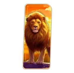 Lion
Safari